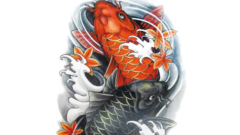 Fish Symbolism Meaning