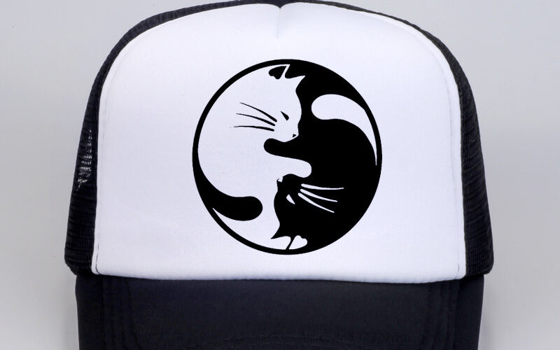 yin yang cat symbol